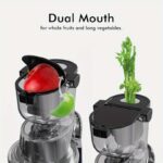 Whole Vertical Juicer